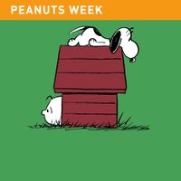 [Image for Start Here: Peanuts]