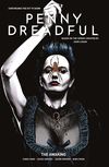 [The cover image for Penny Dreadful Vol. 1: The Awaking]